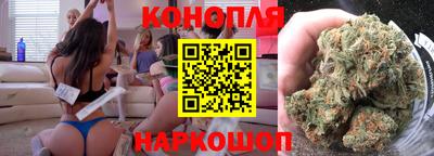 Альфа ПВП Новозыбков