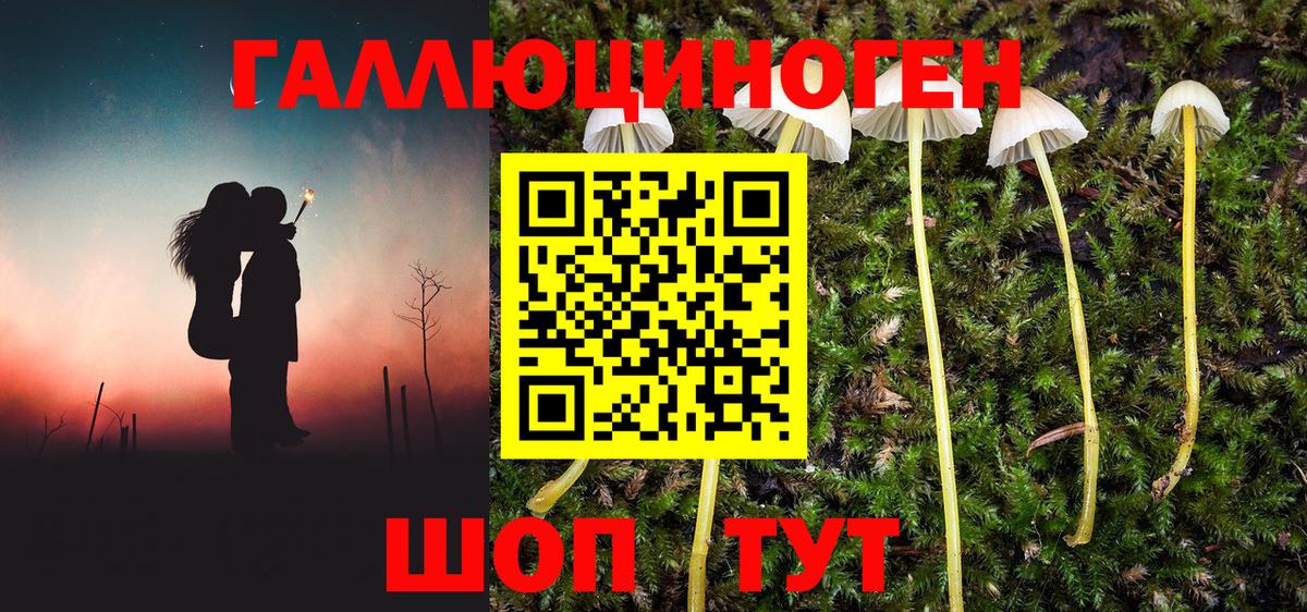 Галлюциногенные грибы ЛСД  Вход с VPN  Псилоцибиновые грибы Magic Shrooms  Топки 